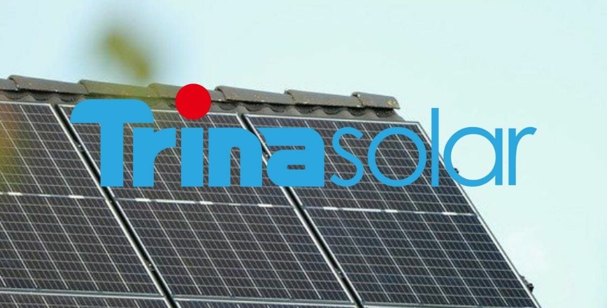 Solarpanels von Trina Solar mit dem Logo von Trina Solar