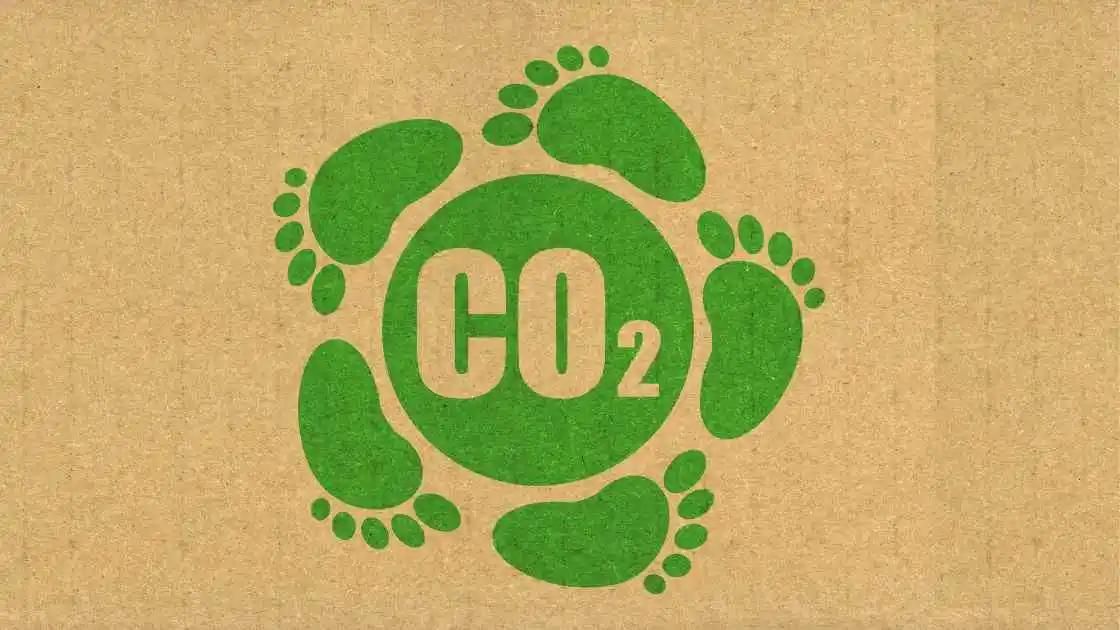 Der CO₂-Fußabdruck
