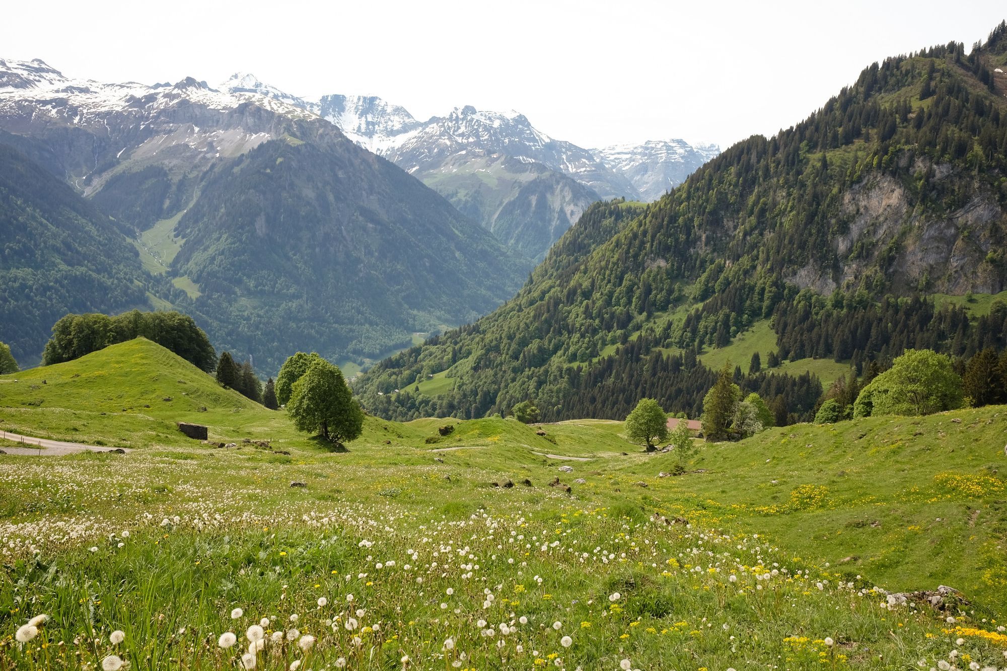 Inselanlagen